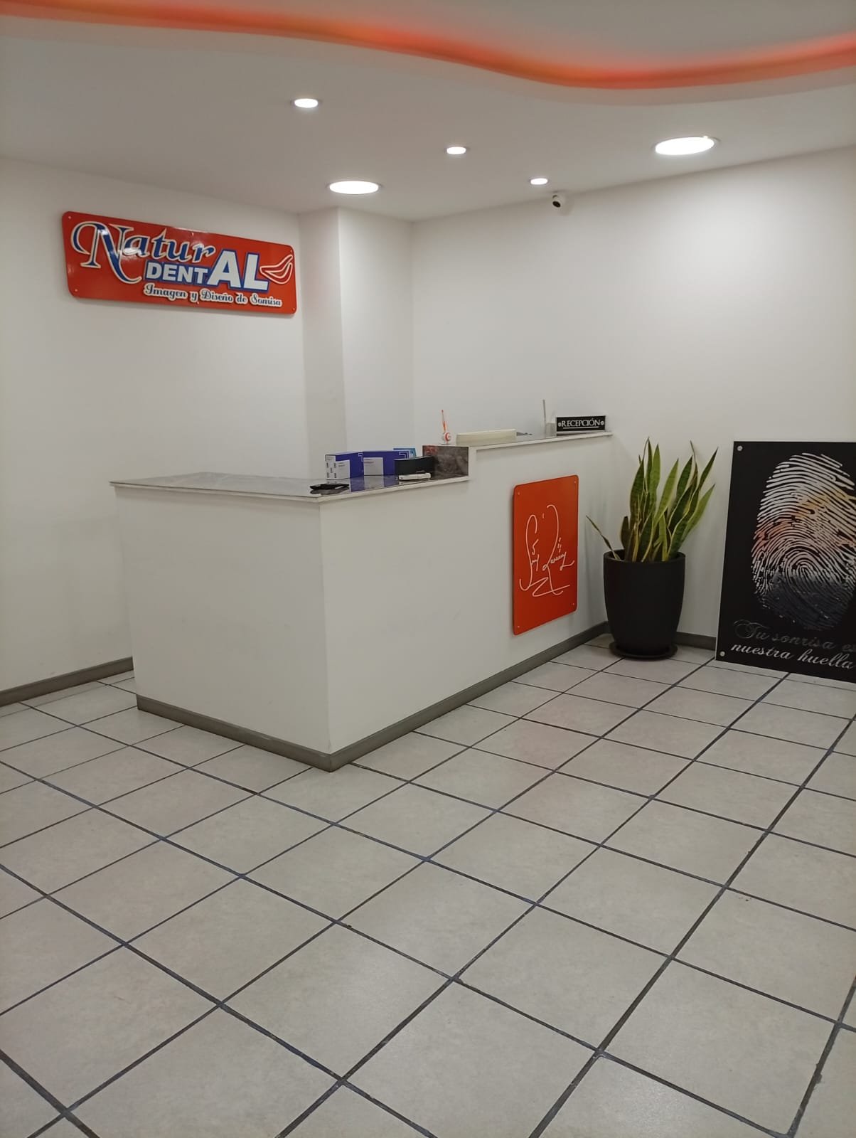 Vista amplia de recepción